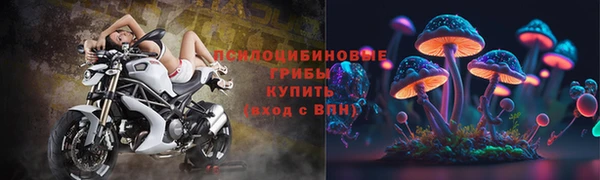 mdpv Вяземский