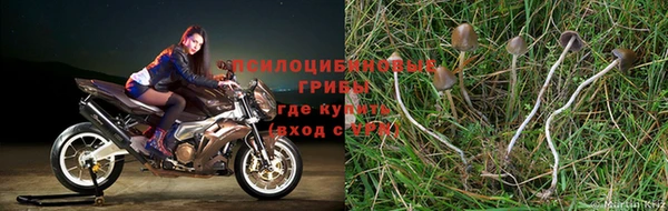mdma Горнозаводск