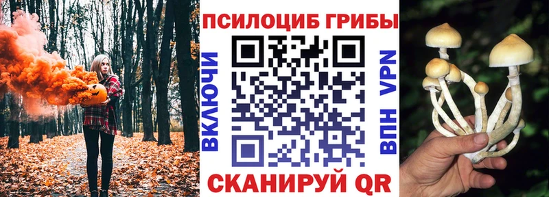 закладки  Ивдель  Псилоцибиновые грибы ЛСД 